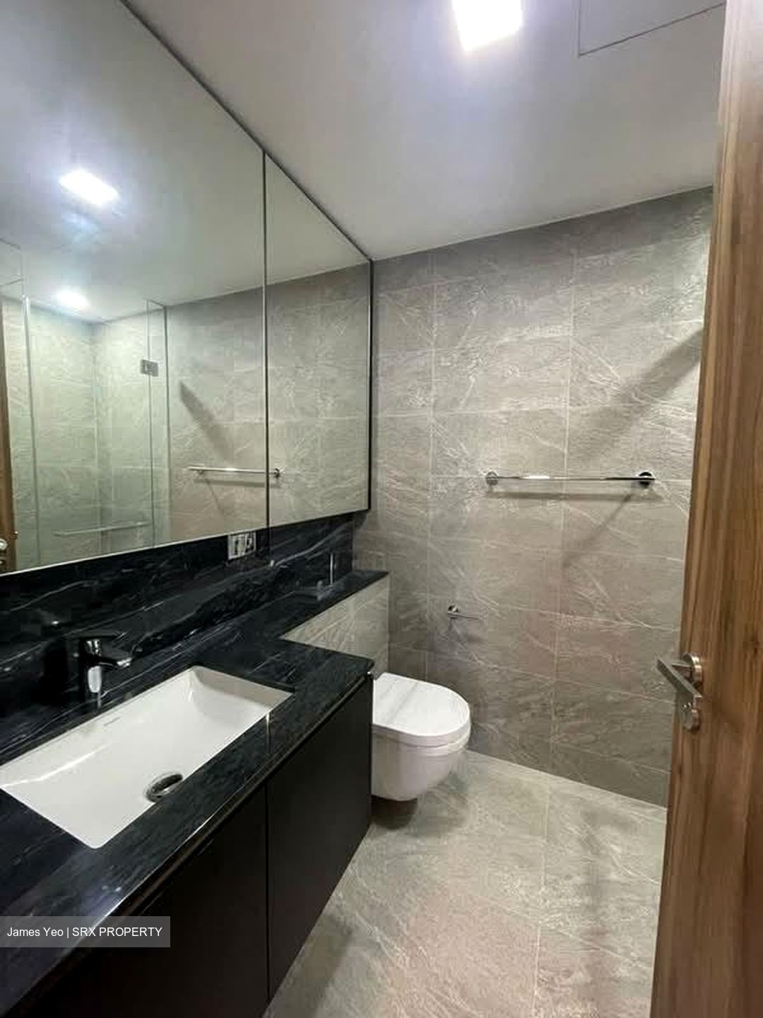 Daintree Residence (D21), Condominium #558976691